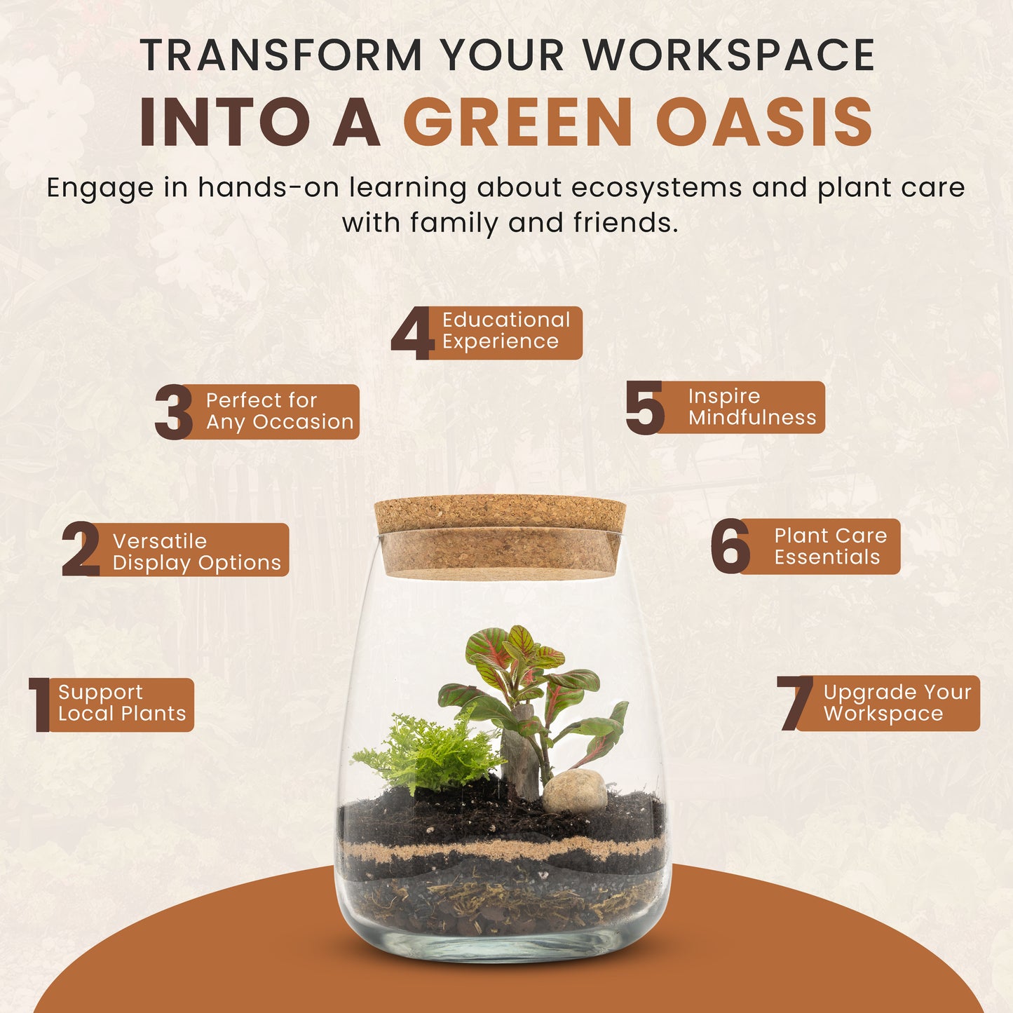 Terrarium DIY Kit with Fittonia & Fern Home Office Decor