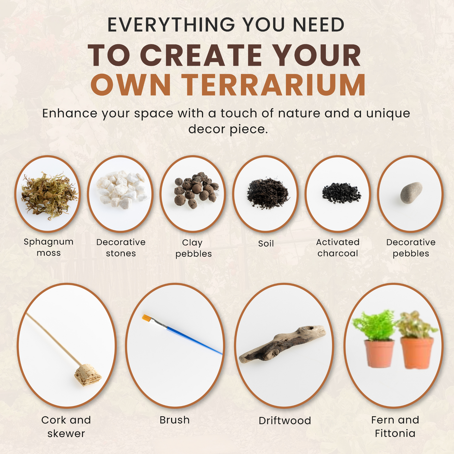 Terrarium DIY Kit with Fittonia & Fern Home Office Decor
