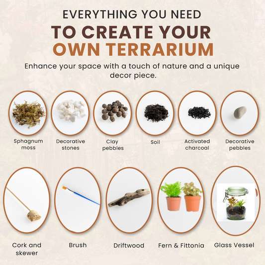 DIY Terrarium Kit – Plants & Glassware Gift Idea