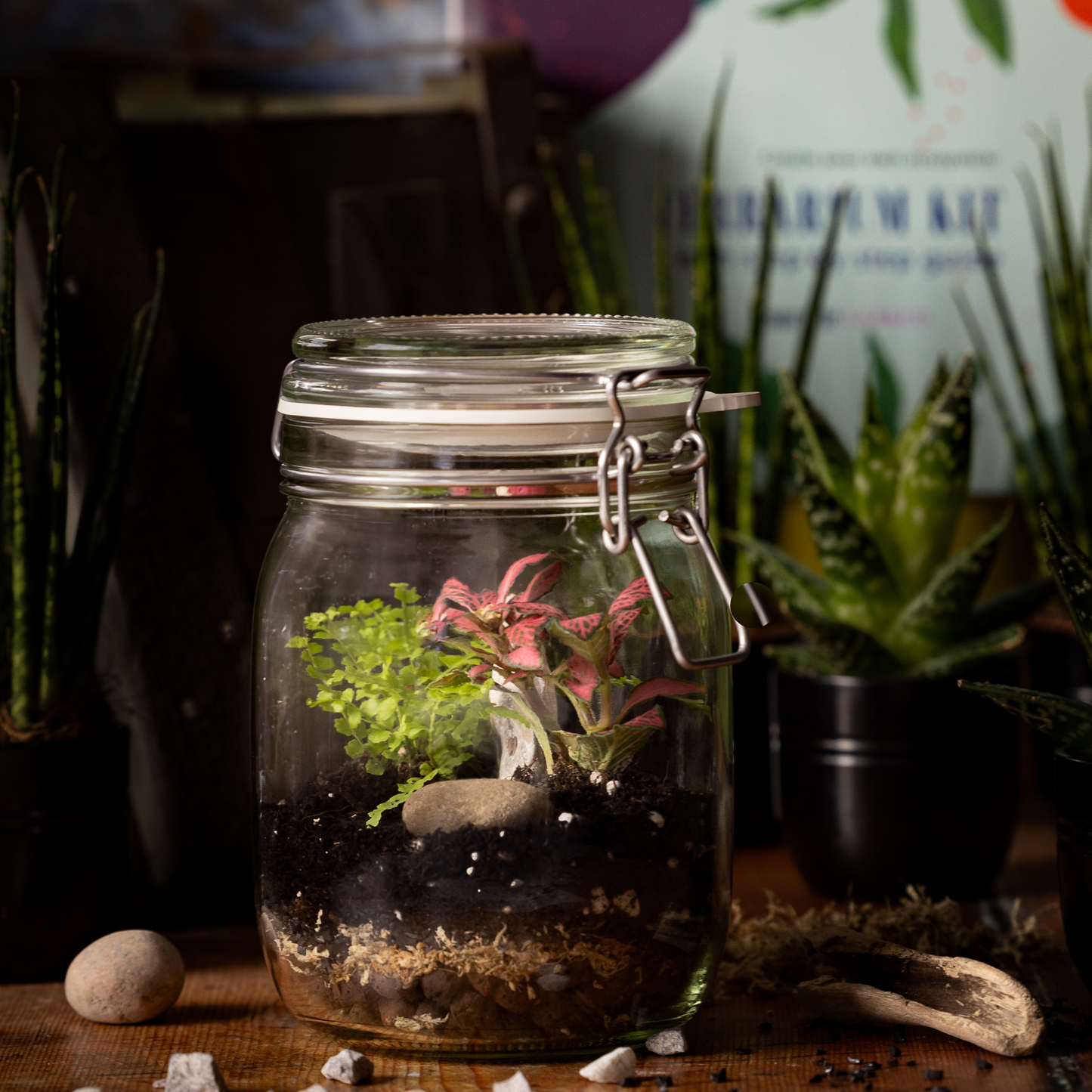 DIY Terrarium Kit – Plants & Glassware Gift Idea