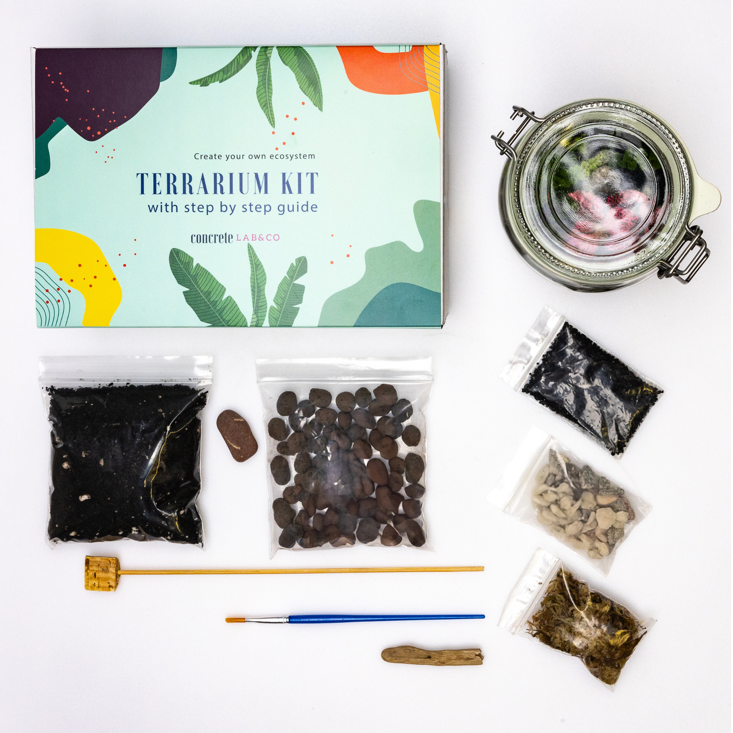 DIY Terrarium Kit – Plants & Glassware Gift Idea