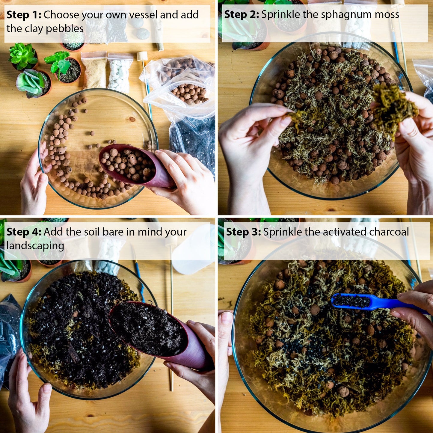 DIY Terrarium kit For Succulents Cacti Bonsai Plants Step by Step Guide