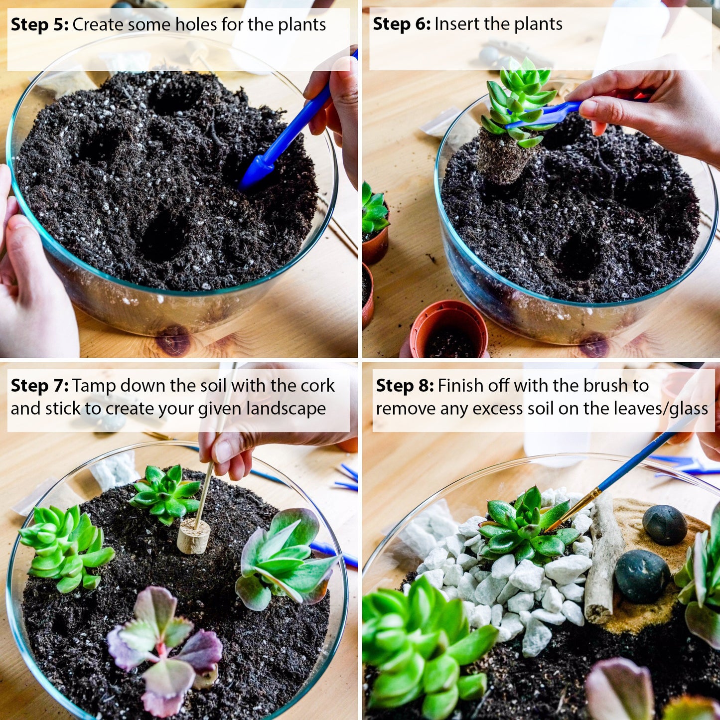 DIY Terrarium kit For Succulents Cacti Bonsai Plants Step by Step Guide