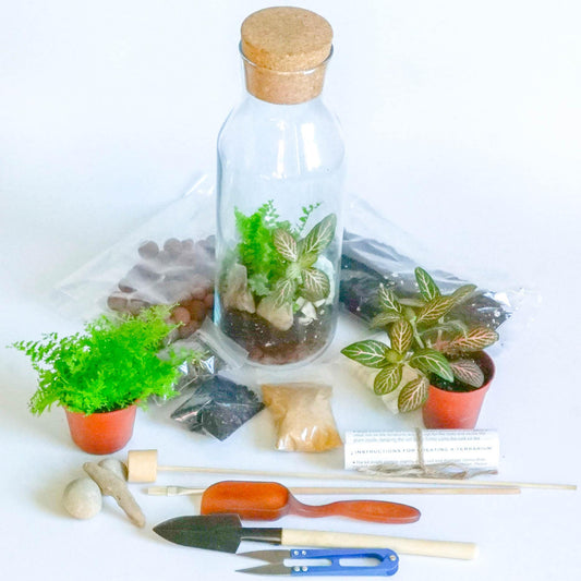 Terrarium Kit with Glass Container and Cork Lid