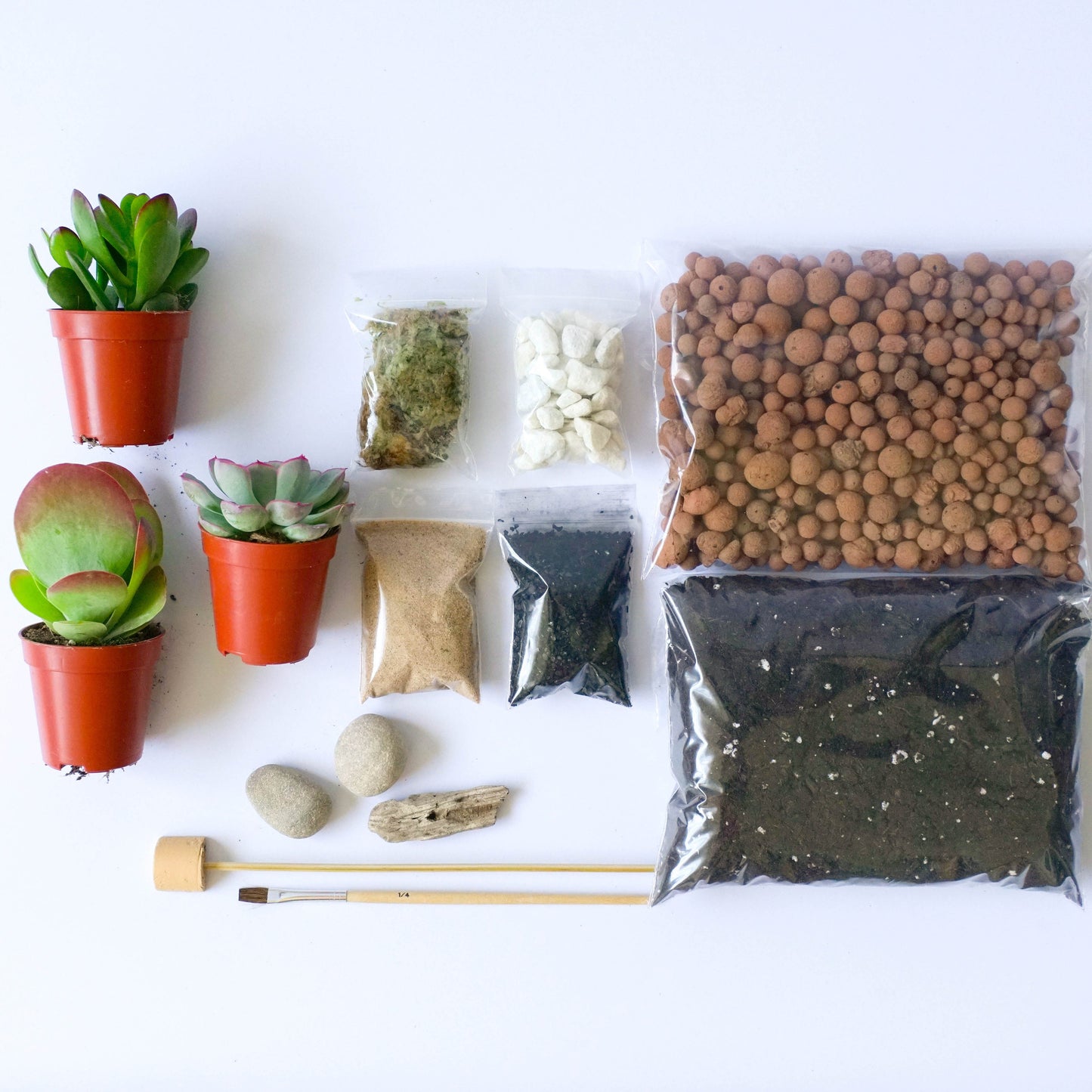 DIY Terrarium kit For Succulents Cacti Bonsai Plants Step by Step Guide