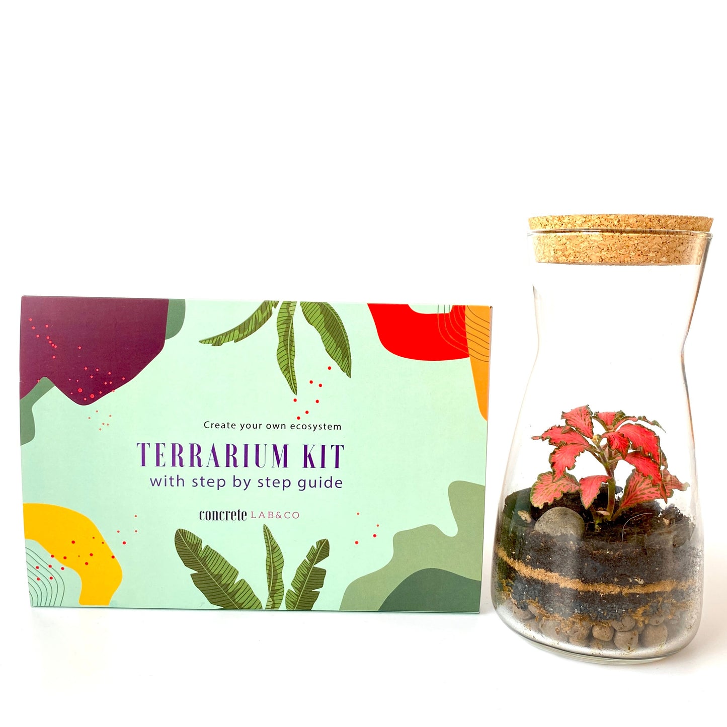 Terrarium DIY Kit with Cork Lid & Optional Fittonia Home Office Decor
