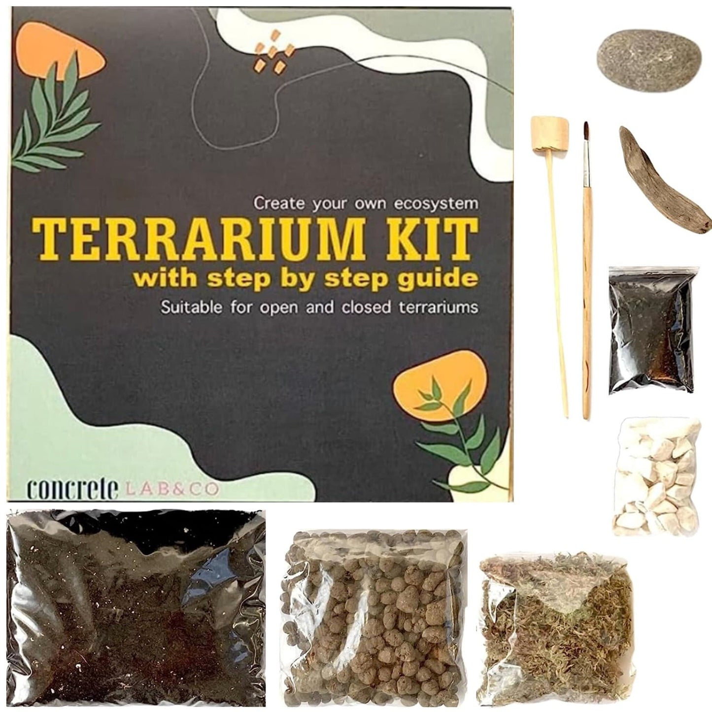 DIY Terrarium kit For Succulents Cacti Bonsai Plants Step by Step Guide