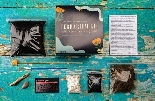 DIY Terrarium kit For Succulents Cacti Bonsai Plants Step by Step Guide