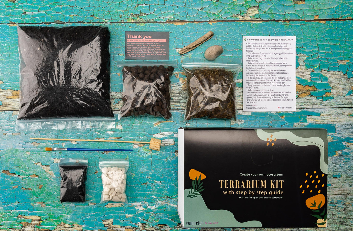 DIY Terrarium kit For Succulents Cacti Bonsai Plants Step by Step Guide