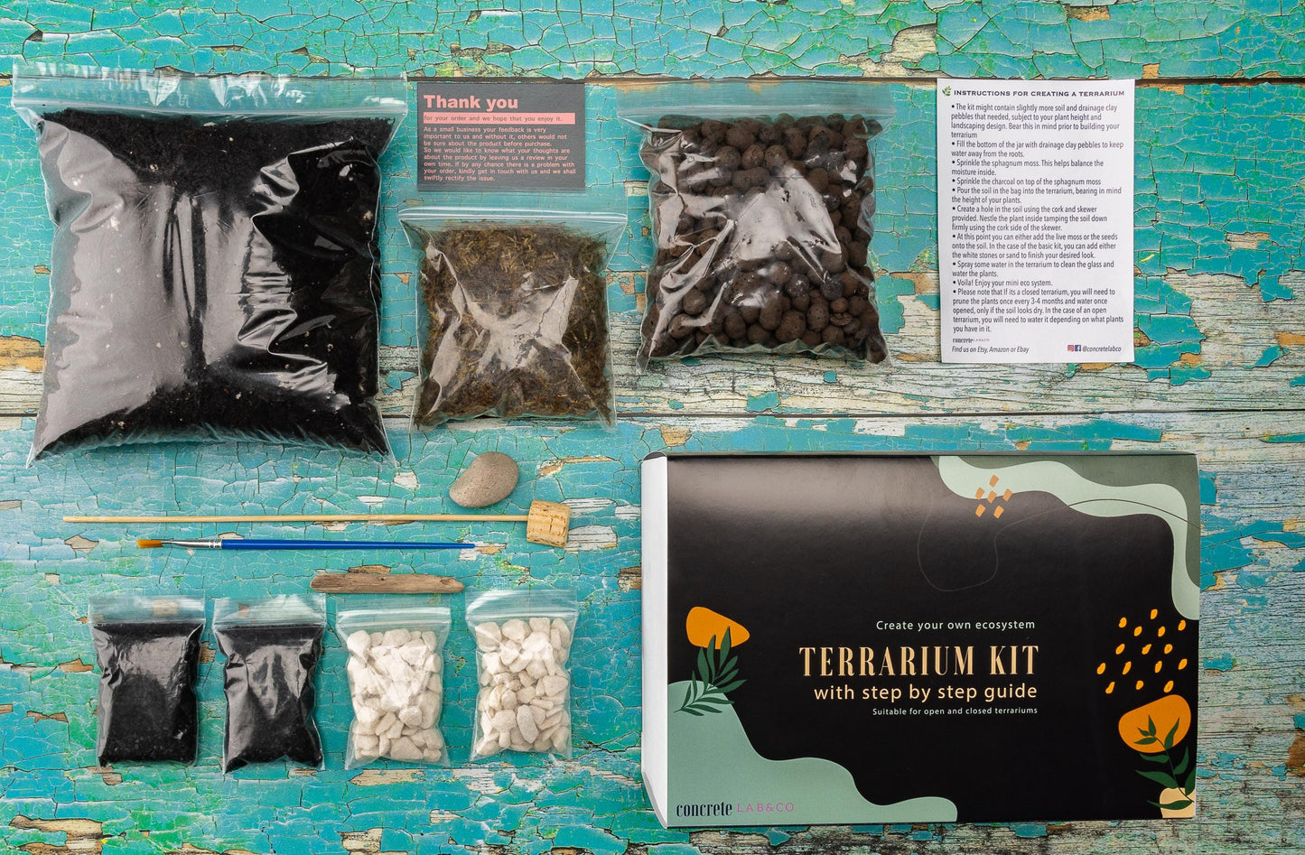 DIY Terrarium kit For Succulents Cacti Bonsai Plants Step by Step Guide