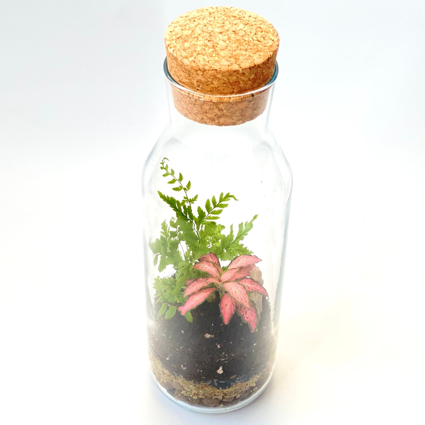 Terrarium Kit with Glass Container and Cork Lid