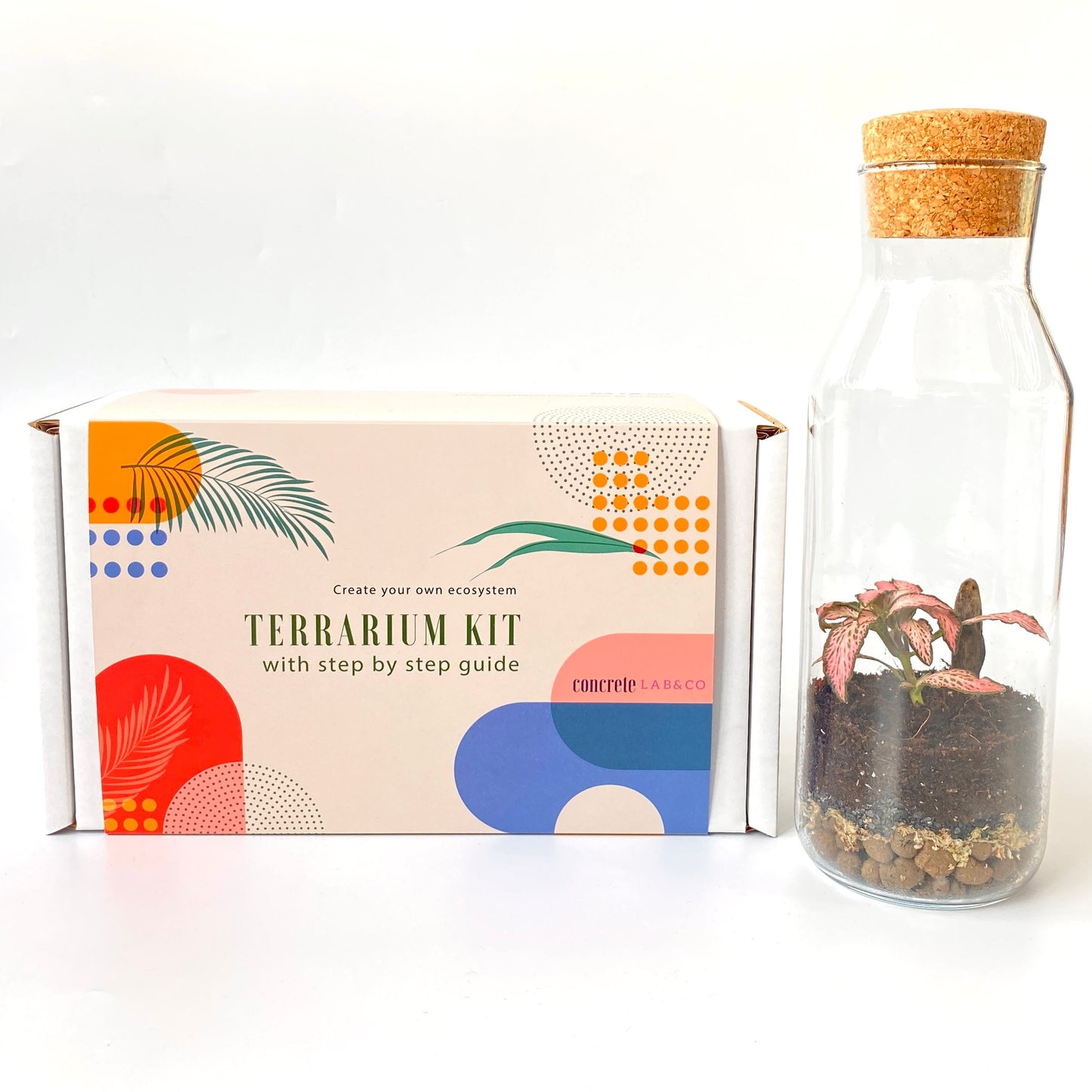 Terrarium Kit with Glass Container and Cork Lid