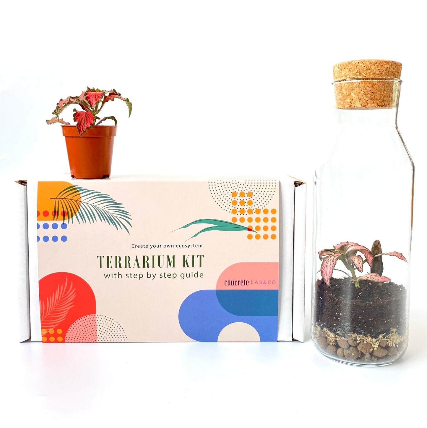 Terrarium Kit with Glass Container and Cork Lid