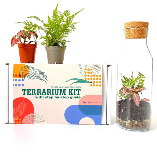 Terrarium Kit with Glass Container and Cork Lid
