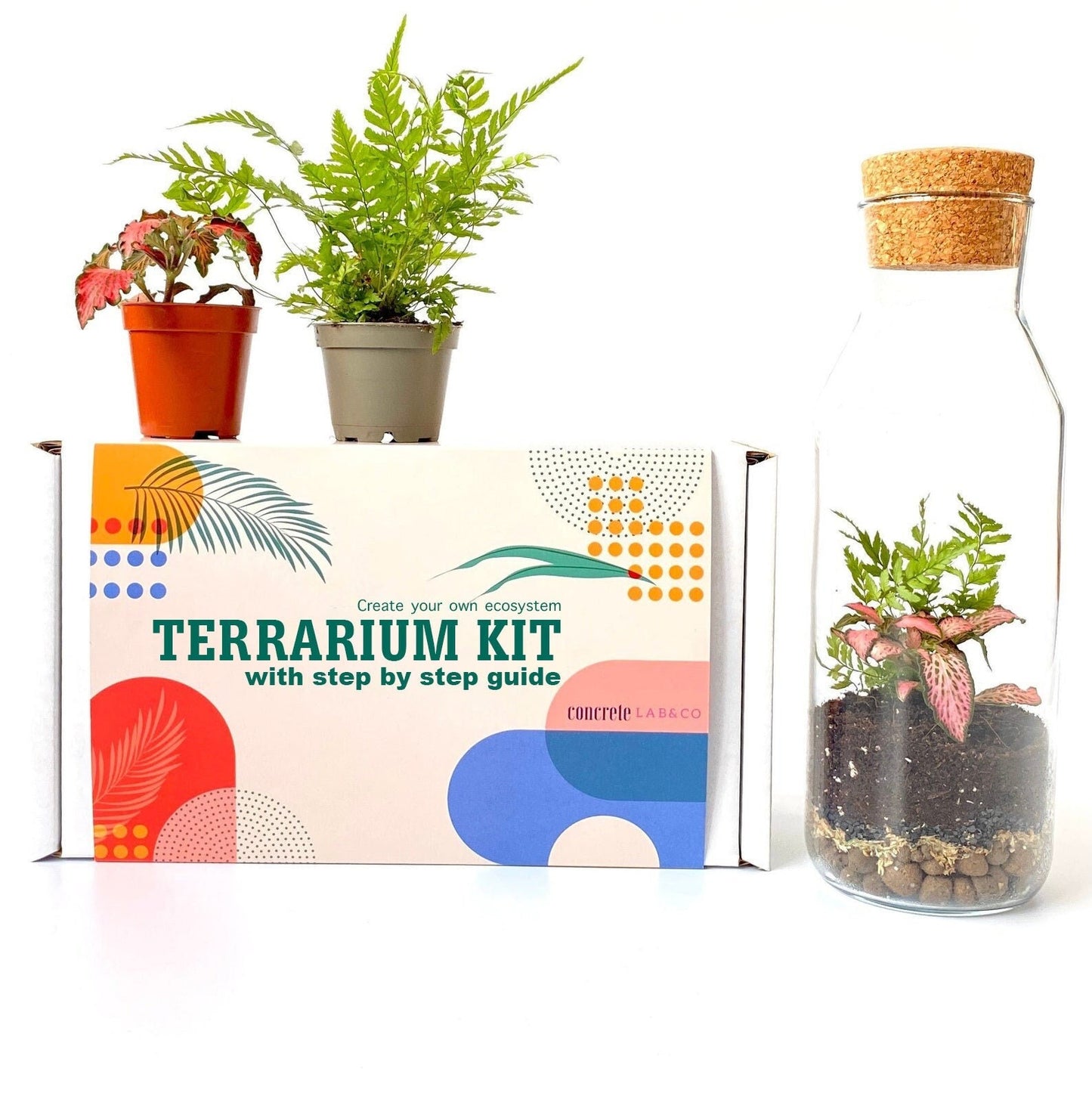 Terrarium Kit with Glass Container and Cork Lid